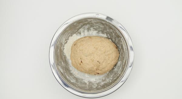 Put ready mix in a bowl and prepare together with the starter a smooth yeast dough, cover and and let it rest in a warm place until it has clearly risen.