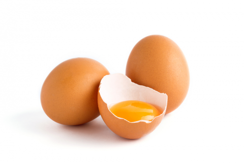 egg