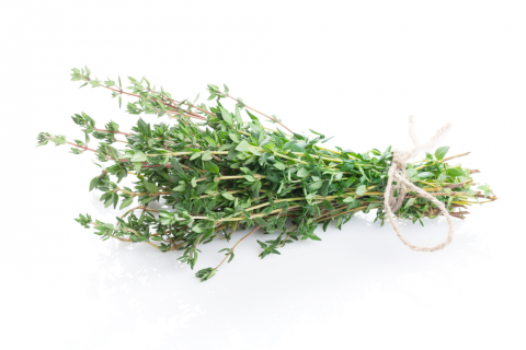 thyme