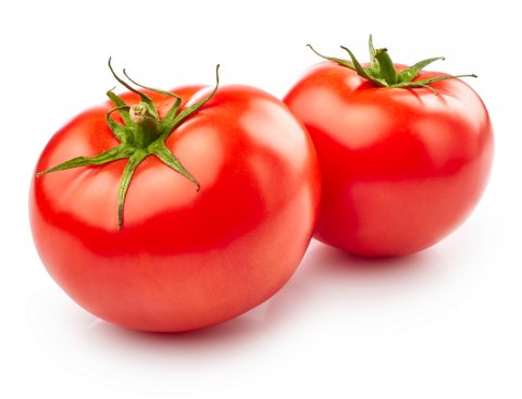 tomatoes