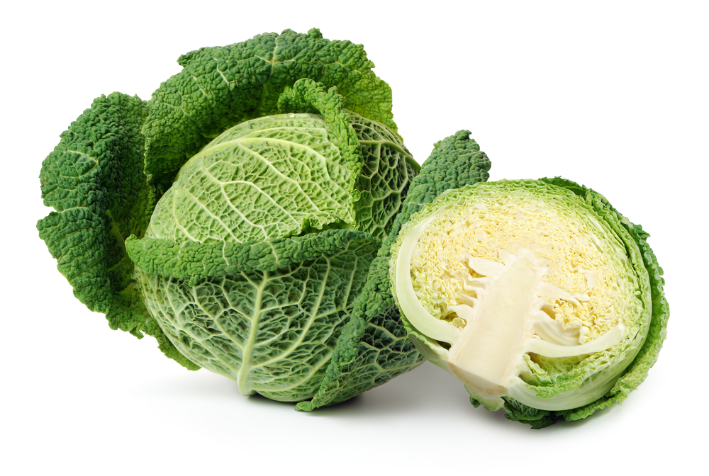 savoy cabbage