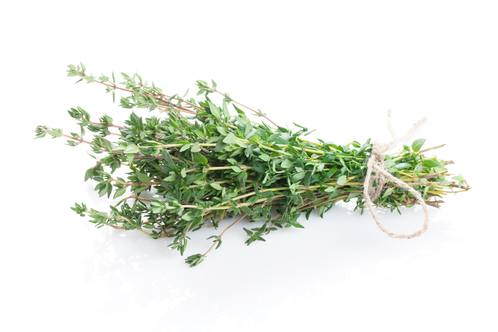 thyme